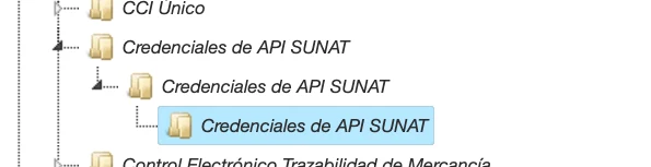 Captura de SUNAT, paso 4